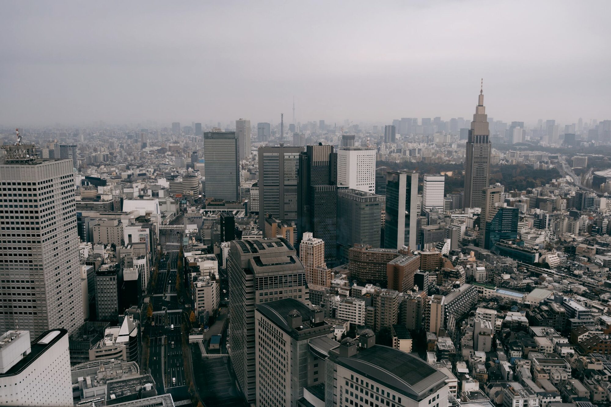霞が関・新宿方面を望む東京の都市風景